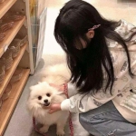 乐动体育app官网入口